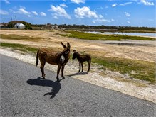 34-Grand_Turk