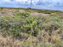 24-Aruba_2023