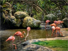 74-Cartagena_2023