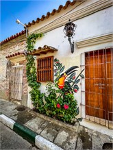 16-Getsemani_2023
