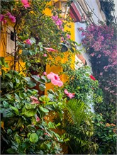 40-Getsemani_2023