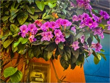 42-Getsemani_2023