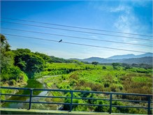 06-Puntarenas-2023
