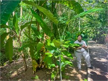 13-Puntarenas-2023