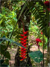 14-Puntarenas-2023