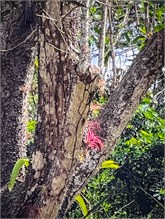 27-Puntarenas-2023