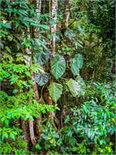 49-Puntarenas-2023