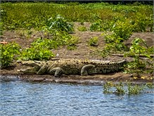 02-Rio_Grande_Tarcoles-2