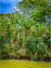 07-Rio_Grande_Tarcoles