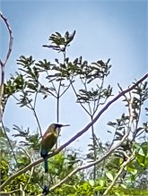 09-Rio_Grande_Tarcoles
