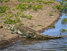 10-Rio_Grande_Tarcoles