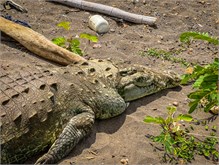 11-Rio_Grande_Tarcoles