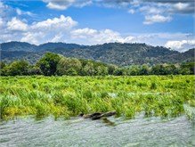 14-Rio_Grande_Tarcoles