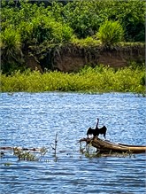 15-Rio_Grande_Tarcoles
