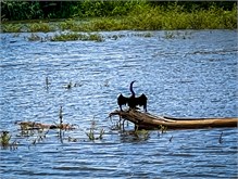 18-Rio_Grande_Tarcoles