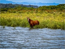 19-Rio_Grande_Tarcoles