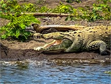 21-Rio_Grande_Tarcoles