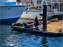 16-Cabo_San_Lucas