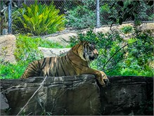 14-San_Diego-2023