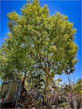 24-San_Diego-2023