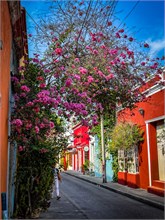 26-33-Getsemani_2023