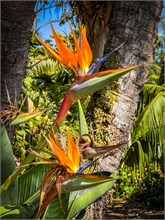 75-33-San_Diego-2023