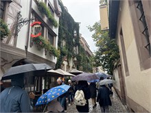 016-Strasbourg