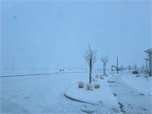 11-Snow_Springhouse