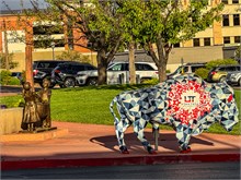 10-St-George_UT