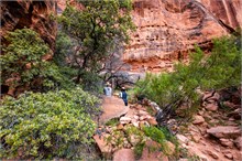 06-Jennys-Canyon