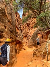 11-Jennys-Canyon