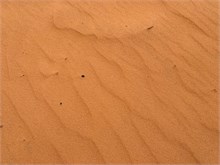 08-Sand-Dunes_Snow-Canyon