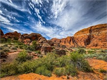 01-Hidden-Pinyon