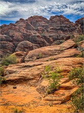 03-Hidden-Pinyon