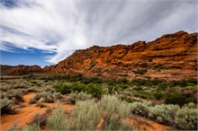 04-Hidden-Pinyon
