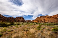 05-Hidden-Pinyon