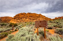 06-Hidden-Pinyon