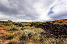 10-Hidden-Pinyon