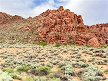 11-Hidden-Pinyon