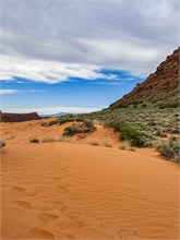 12-Hidden-Pinyon