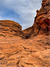 15-Hidden-Pinyon