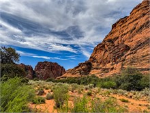 16-Hidden-Pinyon