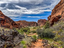 17-Hidden-Pinyon