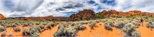 19-Hidden-Pinyon