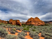 20-Hidden-Pinyon