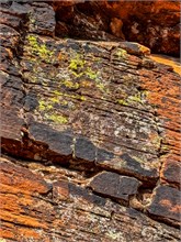 24-Hidden-Pinyon