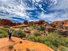 25-Hidden-Pinyon