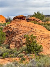 01-Petrified-Dunes