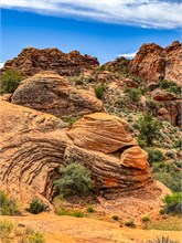 03-Petrified-Dunes