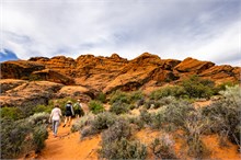 05-Petrified-Dunes